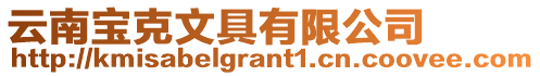 云南寶克文具有限公司
