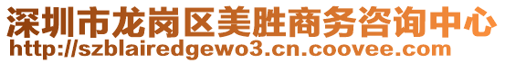 深圳市龍崗區(qū)美勝商務(wù)咨詢中心