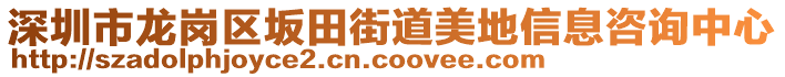 深圳市龍崗區(qū)坂田街道美地信息咨詢中心