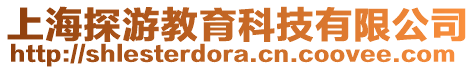 上海探游教育科技有限公司