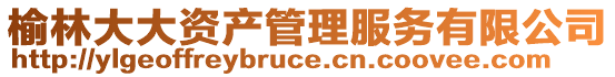 榆林大大資產管理服務有限公司