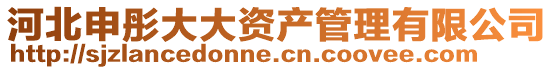 河北申彤大大資產管理有限公司