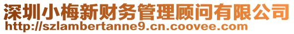 深圳小梅新財務管理顧問有限公司
