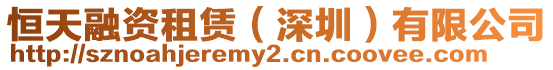 恒天融資租賃(深圳)有限公司