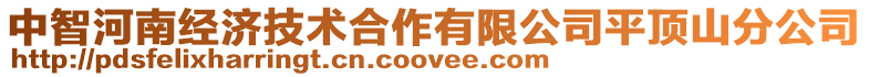 中智河南經濟技術合作有限公司平頂山分公司