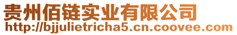 貴州佰鏈實業有限公司