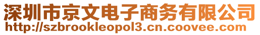 深圳市京文電子商務(wù)有限公司