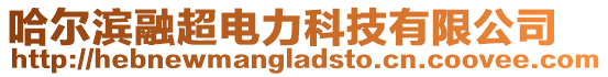 哈爾濱融超電力科技有限公司