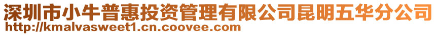 深圳市小牛普惠投資管理有限公司昆明五華分公司