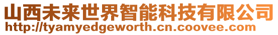 山西未來世界智能科技有限公司