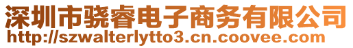 深圳市驍睿電子商務(wù)有限公司