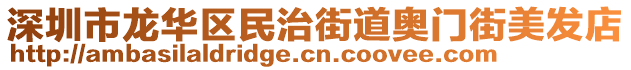 深圳市龍華區(qū)民治街道奧門街美發(fā)店