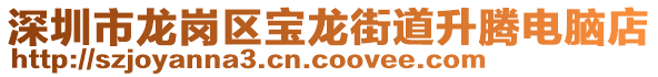 深圳市龍崗區(qū)寶龍街道升騰電腦店