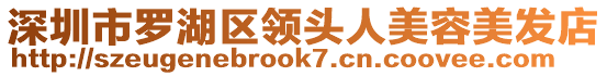 深圳市羅湖區(qū)領(lǐng)頭人美容美發(fā)店