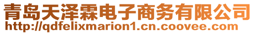 青島天澤霖電子商務(wù)有限公司