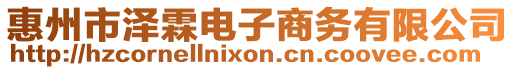 惠州市澤霖電子商務(wù)有限公司