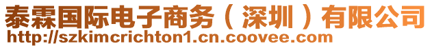 泰霖國際電子商務(wù)（深圳）有限公司