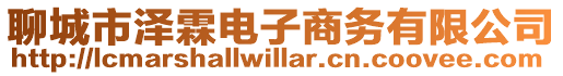 聊城市澤霖電子商務(wù)有限公司