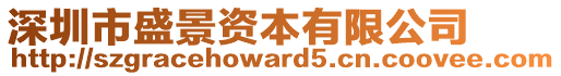 深圳市盛景資本有限公司