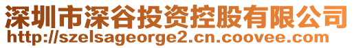 深圳市深谷投資控股有限公司