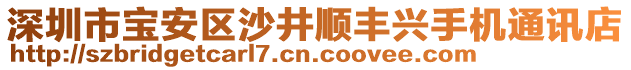 深圳市寶安區(qū)沙井順豐興手機通訊店