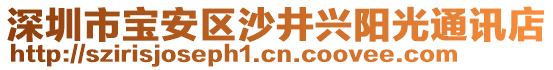 深圳市寶安區(qū)沙井興陽光通訊店