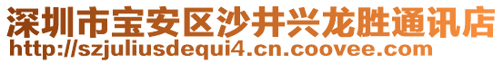 深圳市寶安區(qū)沙井興龍勝通訊店