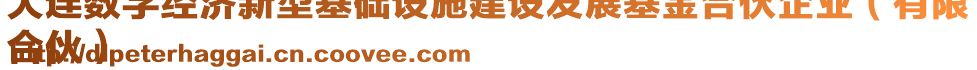 大連數(shù)字經(jīng)濟(jì)新型基礎(chǔ)設(shè)施建設(shè)發(fā)展基金合伙企業(yè)（有限
合伙）