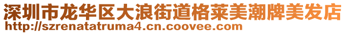 深圳市龍華區(qū)大浪街道格萊美潮牌美發(fā)店