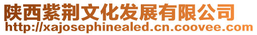 陜西紫荊文化發(fā)展有限公司