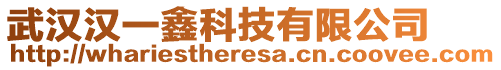 武漢漢一鑫科技有限公司