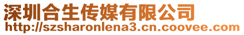 深圳合生傳媒有限公司