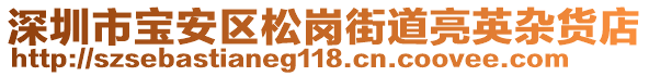 深圳市寶安區(qū)松崗街道亮英雜貨店