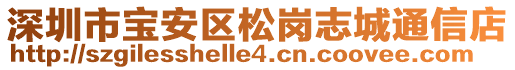 深圳市寶安區(qū)松崗志城通信店
