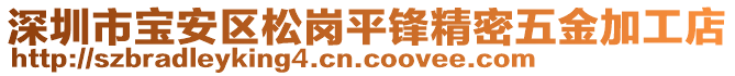 深圳市寶安區(qū)松崗平鋒精密五金加工店