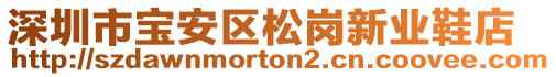 深圳市寶安區(qū)松崗新業(yè)鞋店