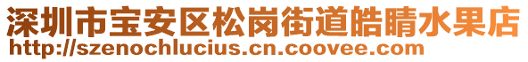 深圳市寶安區(qū)松崗街道皓睛水果店