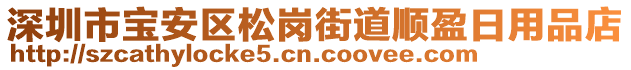 深圳市寶安區(qū)松崗街道順盈日用品店