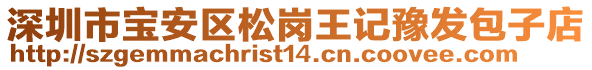 深圳市寶安區(qū)松崗?fù)跤浽グl(fā)包子店