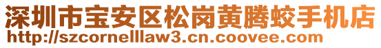 深圳市寶安區(qū)松崗黃騰蛟手機(jī)店