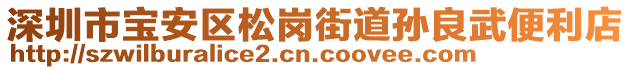 深圳市寶安區(qū)松崗街道孫良武便利店