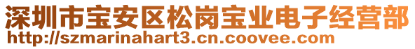 深圳市寶安區(qū)松崗寶業(yè)電子經(jīng)營(yíng)部