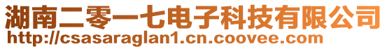 湖南二零一七电子科技有限公司