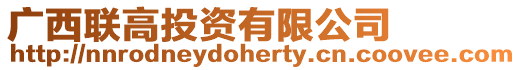 廣西聯高投資有限公司