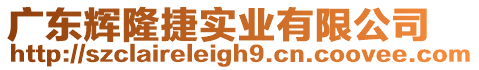 廣東輝隆捷實(shí)業(yè)有限公司