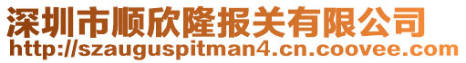 深圳市順欣隆報關有限公司