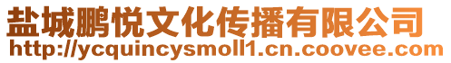 鹽城鵬悅文化傳播有限公司