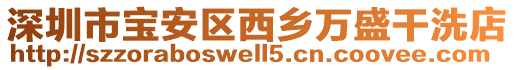 深圳市寶安區(qū)西鄉(xiāng)萬盛干洗店