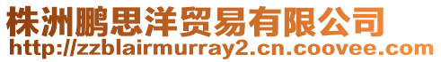 株洲鵬思洋貿易有限公司