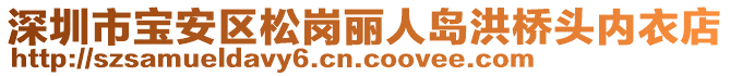 深圳市寶安區(qū)松崗麗人島洪橋頭內(nèi)衣店